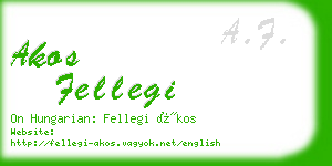 akos fellegi business card